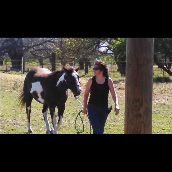 Hi, I’m Desi. I have a passion for horses. - Picture 3 of 11